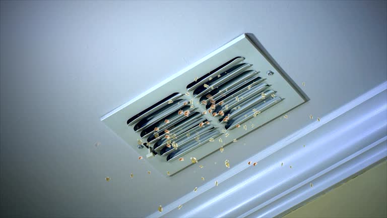 Best Affordable Duct Cleaning Services  in Red Hill, PA